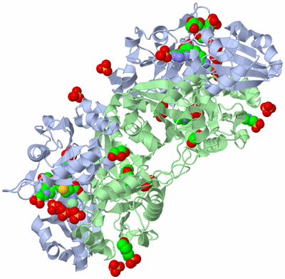 Image Biological Unit 2