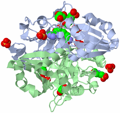 Image Biological Unit 1