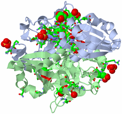 Image Biol. Unit 1 - sites