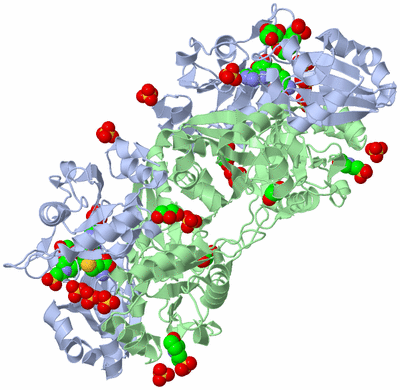 Image Biological Unit 2