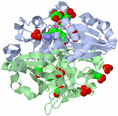 Image Asym./Biol. Unit