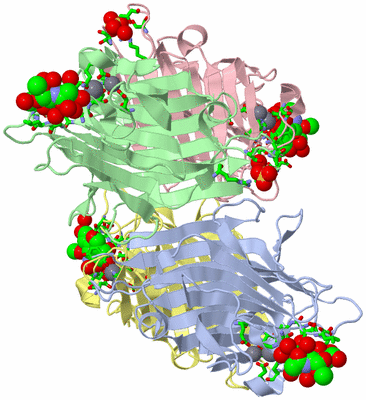 Image Asym./Biol. Unit - sites