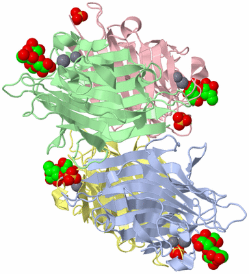 Image Asym./Biol. Unit