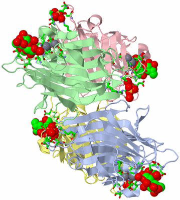 Image Asym./Biol. Unit - sites