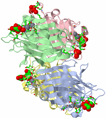 Image Asym./Biol. Unit - sites