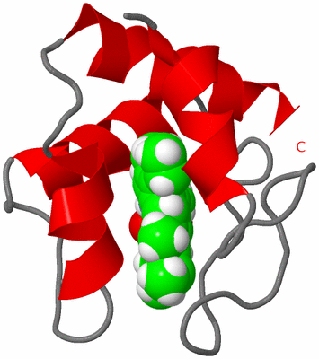 Image NMR Structure - model 1