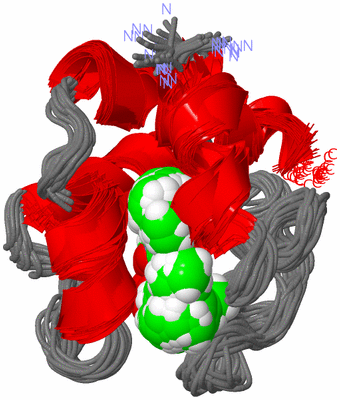 Image NMR Structure - all models