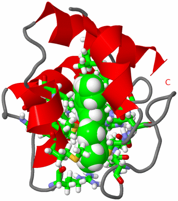 Image NMR Structure - model 1, sites