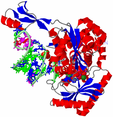 Image Asym./Biol. Unit