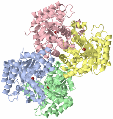 Image Asym./Biol. Unit