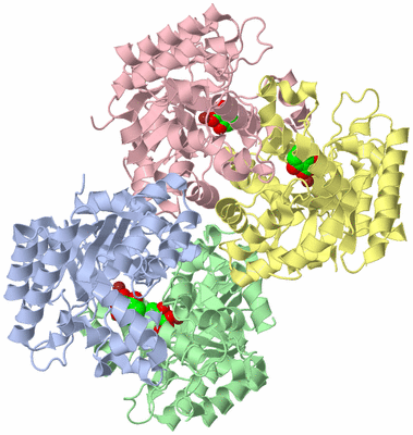 Image Asym./Biol. Unit