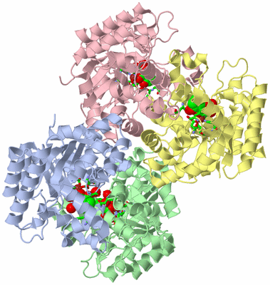 Image Asym./Biol. Unit - sites