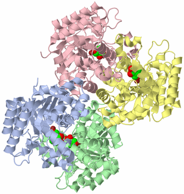 Image Asym./Biol. Unit