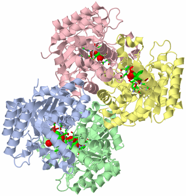 Image Asym./Biol. Unit - sites