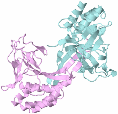 Image Biological Unit 3