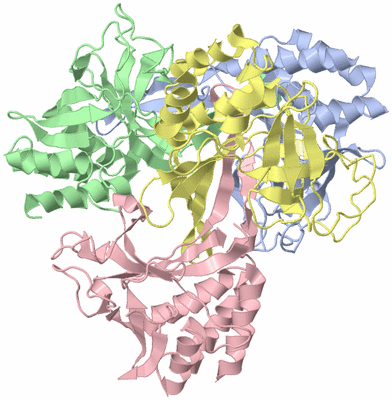 Image Biological Unit 4