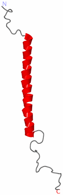 Image NMR Structure - model 1