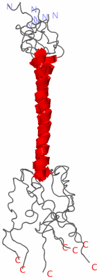 Image NMR Structure - all models