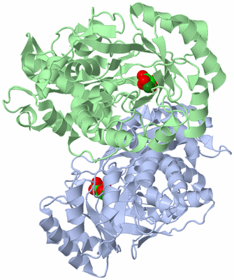 Image Biological Unit 1