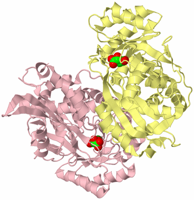 Image Biological Unit 2