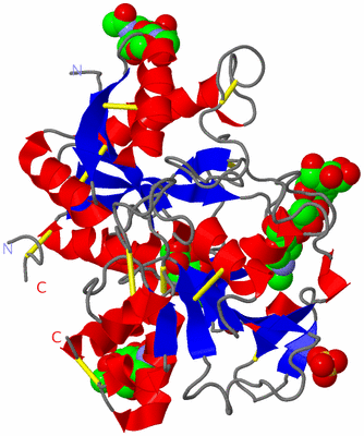 Image Asym./Biol. Unit