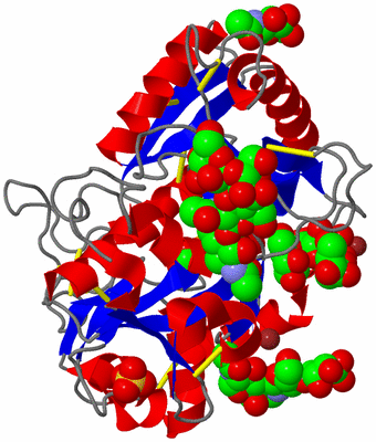 Image Asym./Biol. Unit