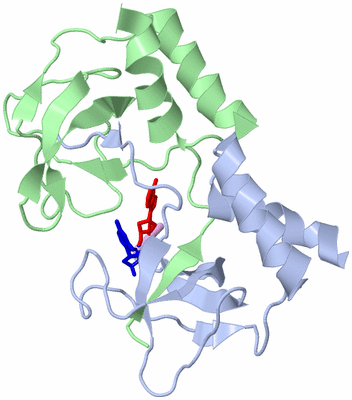 Image Biological Unit 1