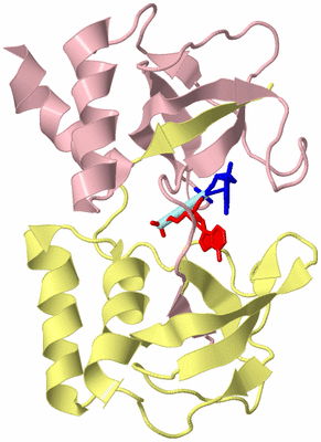 Image Biological Unit 2