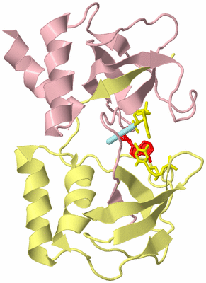 Image Biological Unit 2