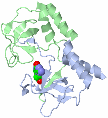 Image Biological Unit 1