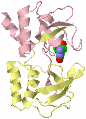 Image Biological Unit 2