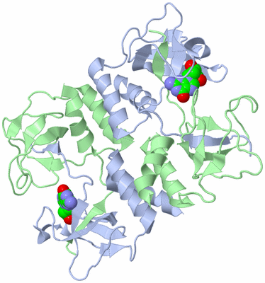 Image Biological Unit 3