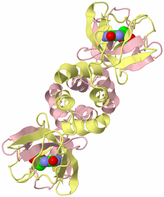 Image Biological Unit 4