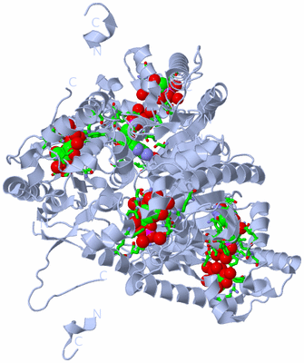 Image Biol. Unit 1 - sites