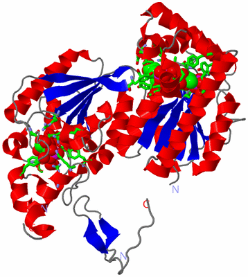 Image Asym. Unit - sites