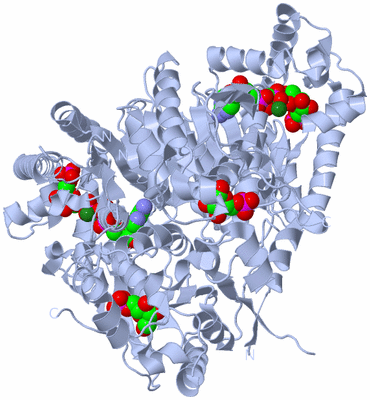 Image Biological Unit 1