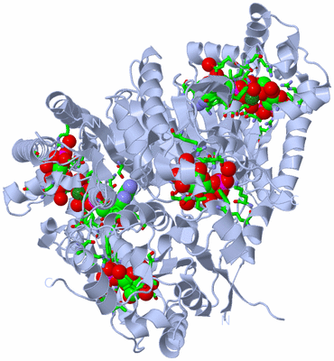 Image Biol. Unit 1 - sites