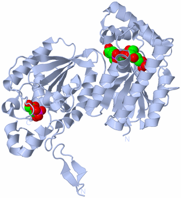 Image Biological Unit 2