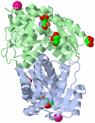 Image Biological Unit 1