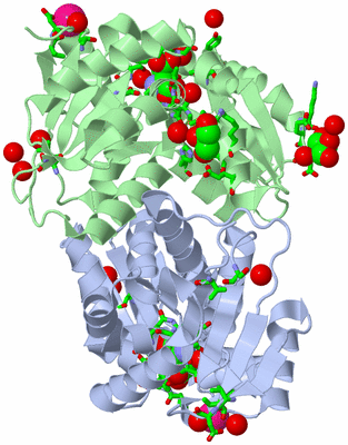 Image Biol. Unit 1 - sites