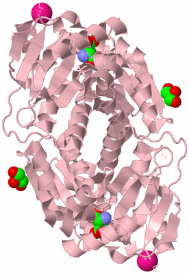 Image Biological Unit 2