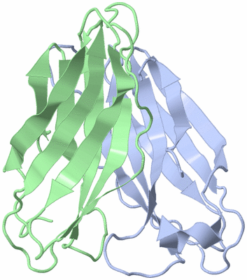 Image Biological Unit 6