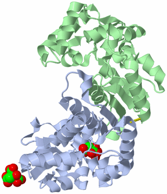 Image Asym./Biol. Unit