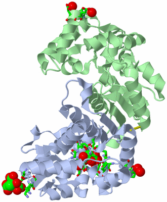 Image Asym./Biol. Unit - sites