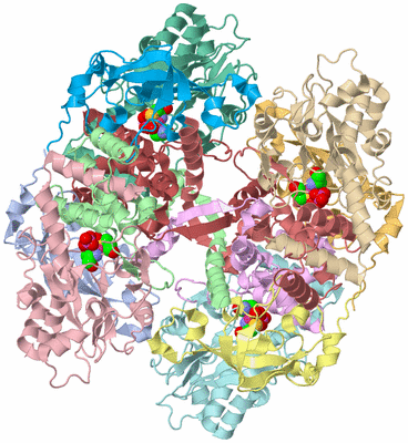 Image Biological Unit 1