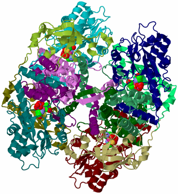 Image Biological Unit 2