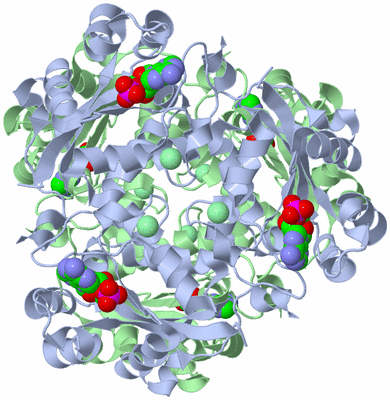 Image Biological Unit 1