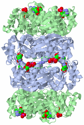 Image Biological Unit 2