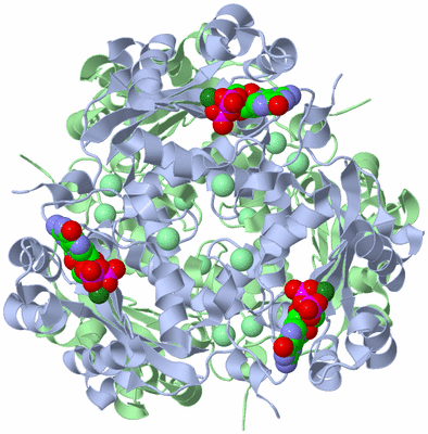 Image Biological Unit 1