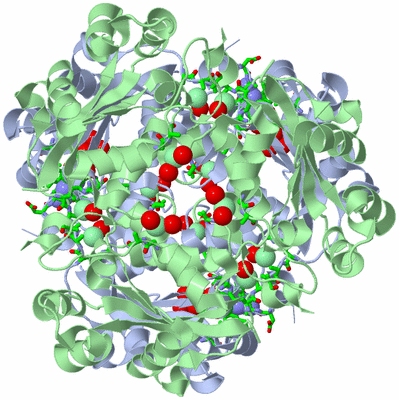 Image Biol. Unit 1 - sites